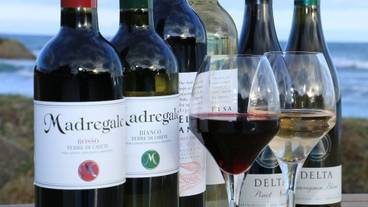 食事・飲み物 / 10