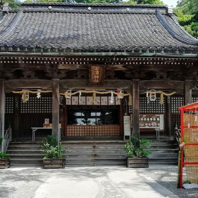 hatosabukoさんの写真 / 7