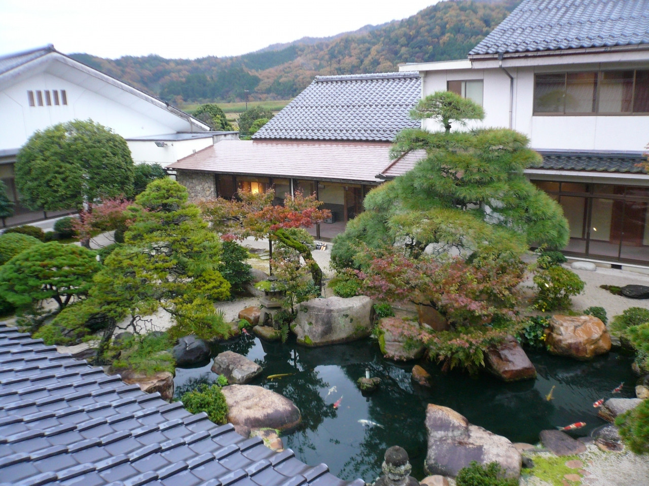 お一人様応援！お湯とアートを楽しめる宿3636502