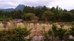 民宿 いっぱち（屋久島）