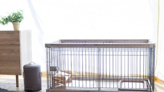 ドッグオペラテント