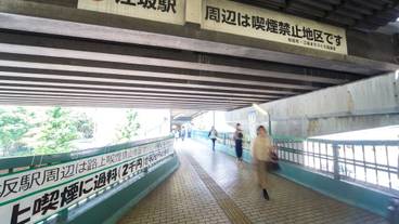 施設からの眺望 / 12