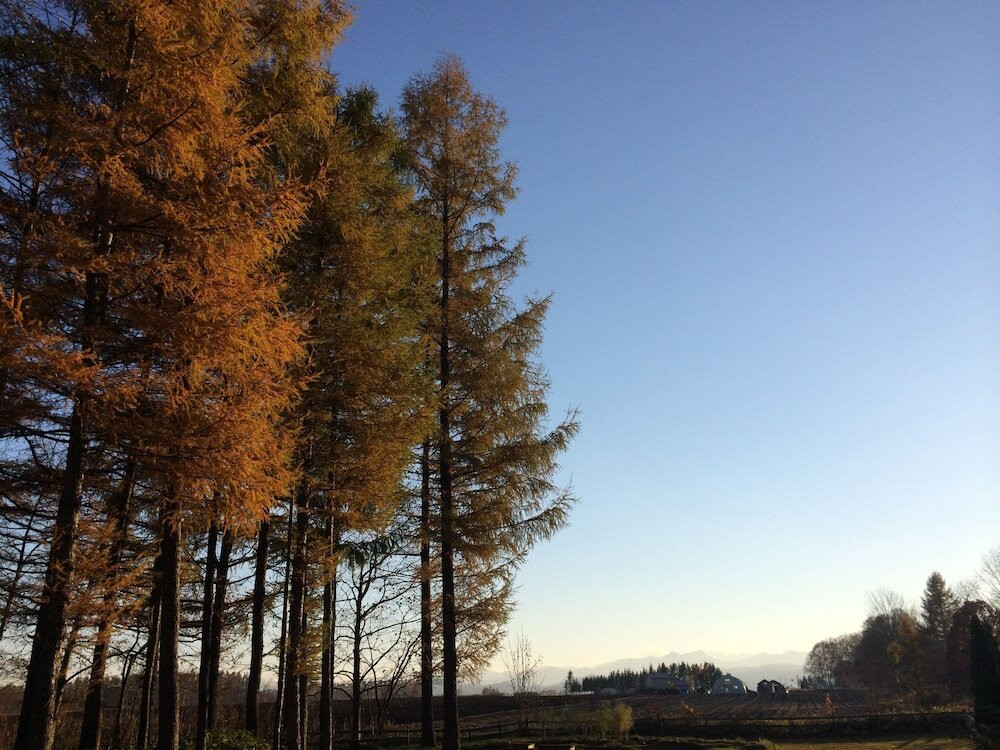 施設からの眺望