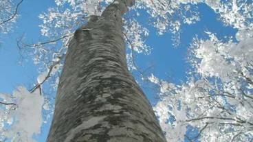 施設の敷地 / 15