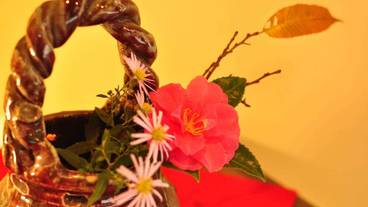 内装の詳細 / 14