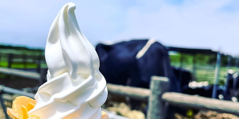 子供用の遊び場 - 屋外