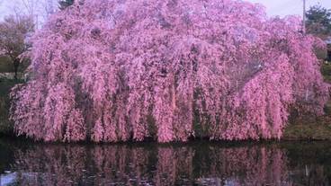 施設からの眺望 / 30
