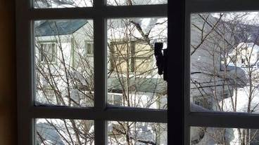 マウンテン ビュー / 6