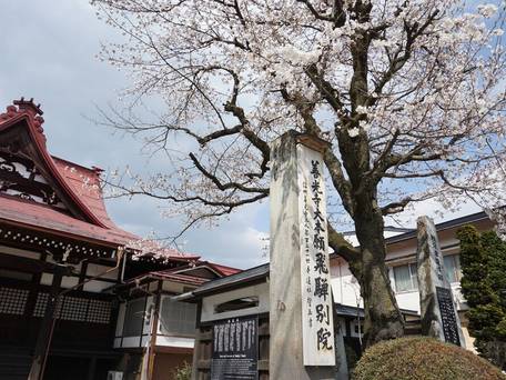 Temple Hotel 高山善光寺 / 4