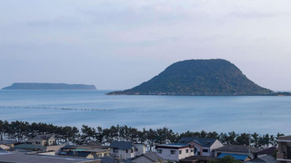 クラシック ルーム ベッド (複数台) オーシャンビュー