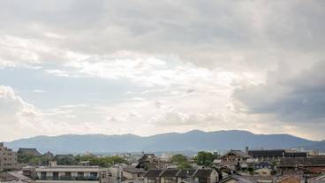 シティ ビュー / 7