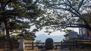 別府湾の眺め / 3