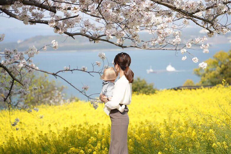 shqnqeさんの写真 / 1