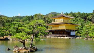 観光スポット / 12