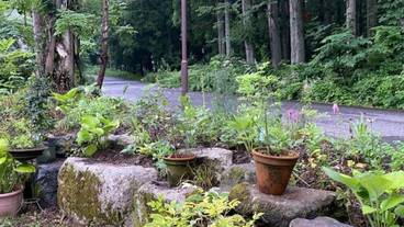 施設の敷地 / 13