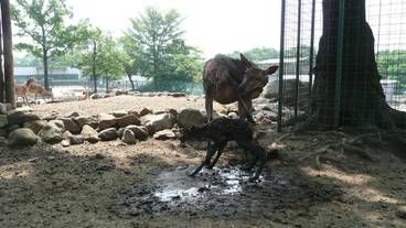 施設の敷地 / 11