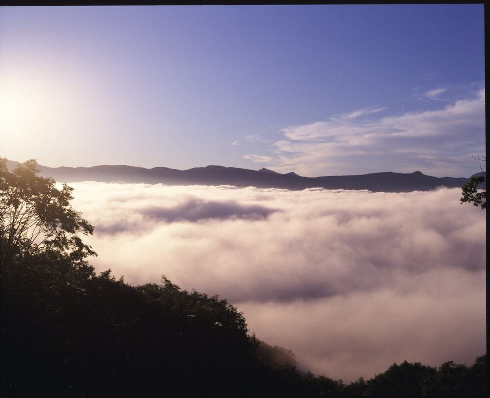 施設からの眺望
