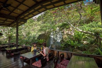 「百年古家 大家」 内観 38763341 滝や森の音を聞きながらランチ