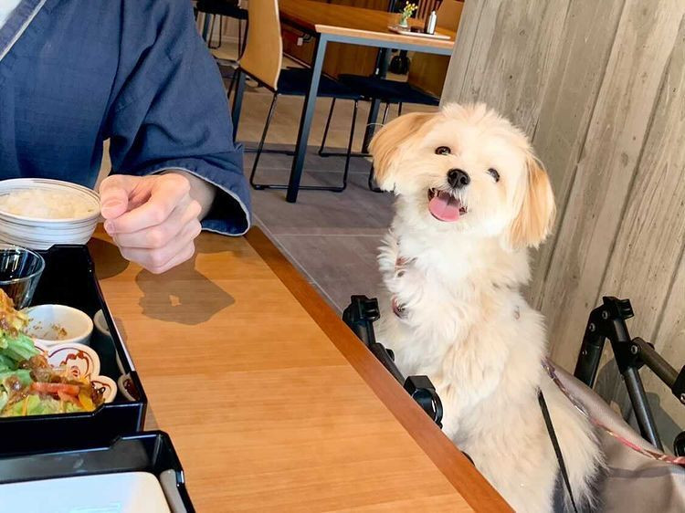 nicomaru1219さんの写真 / 1