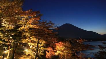 観光スポット / 8