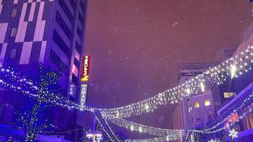 シティ ビュー / 28