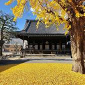 ホテル ひとめぼれ(京都府 ビジネスホテル) / 5