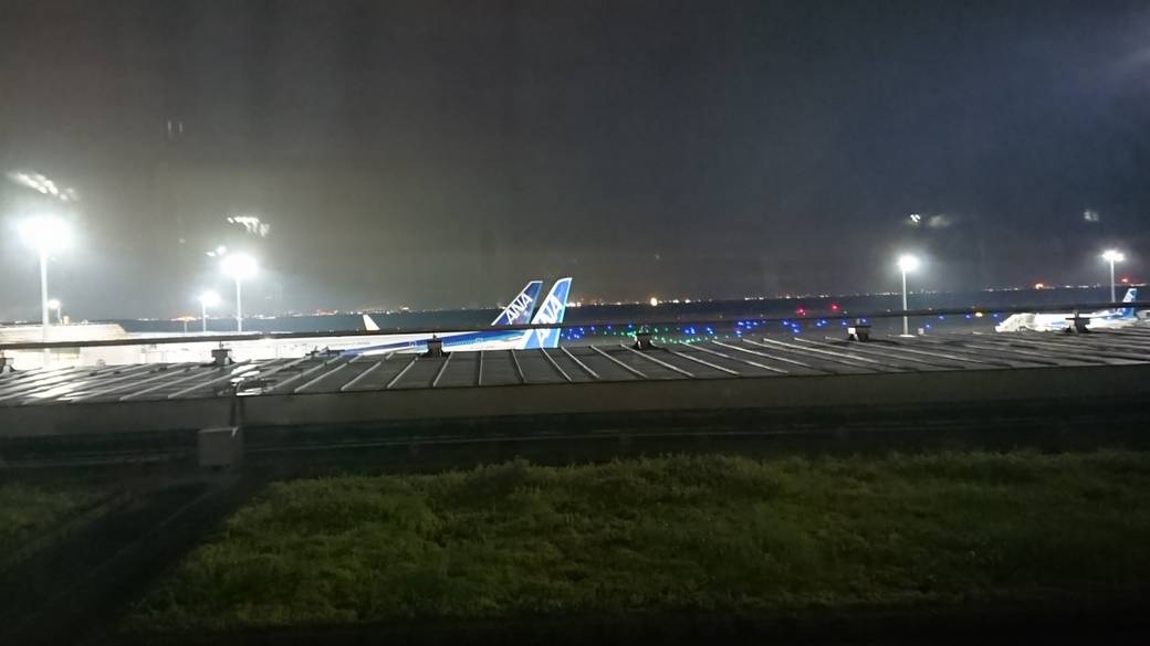 滑走路の灯が見える客室 / 3