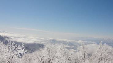 スノー スポーツとスキー / 5