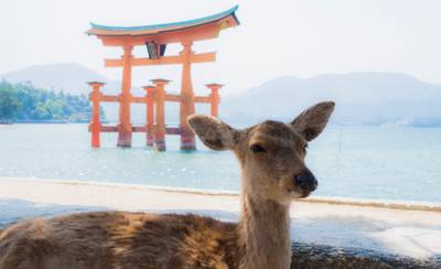女子ののんびり一人旅in広島。旅のおともにしたいおすすめホテル7選