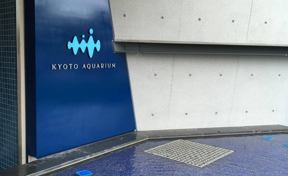 「京都水族館」で
イルカショー鑑賞 / 2