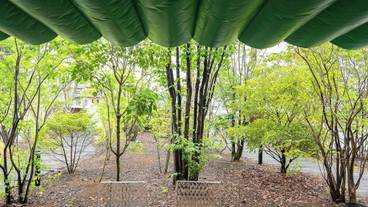 テラス / パティオ / 9