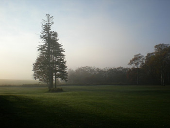 「ヘイゼル・グラウスマナー」 外観 9785170 