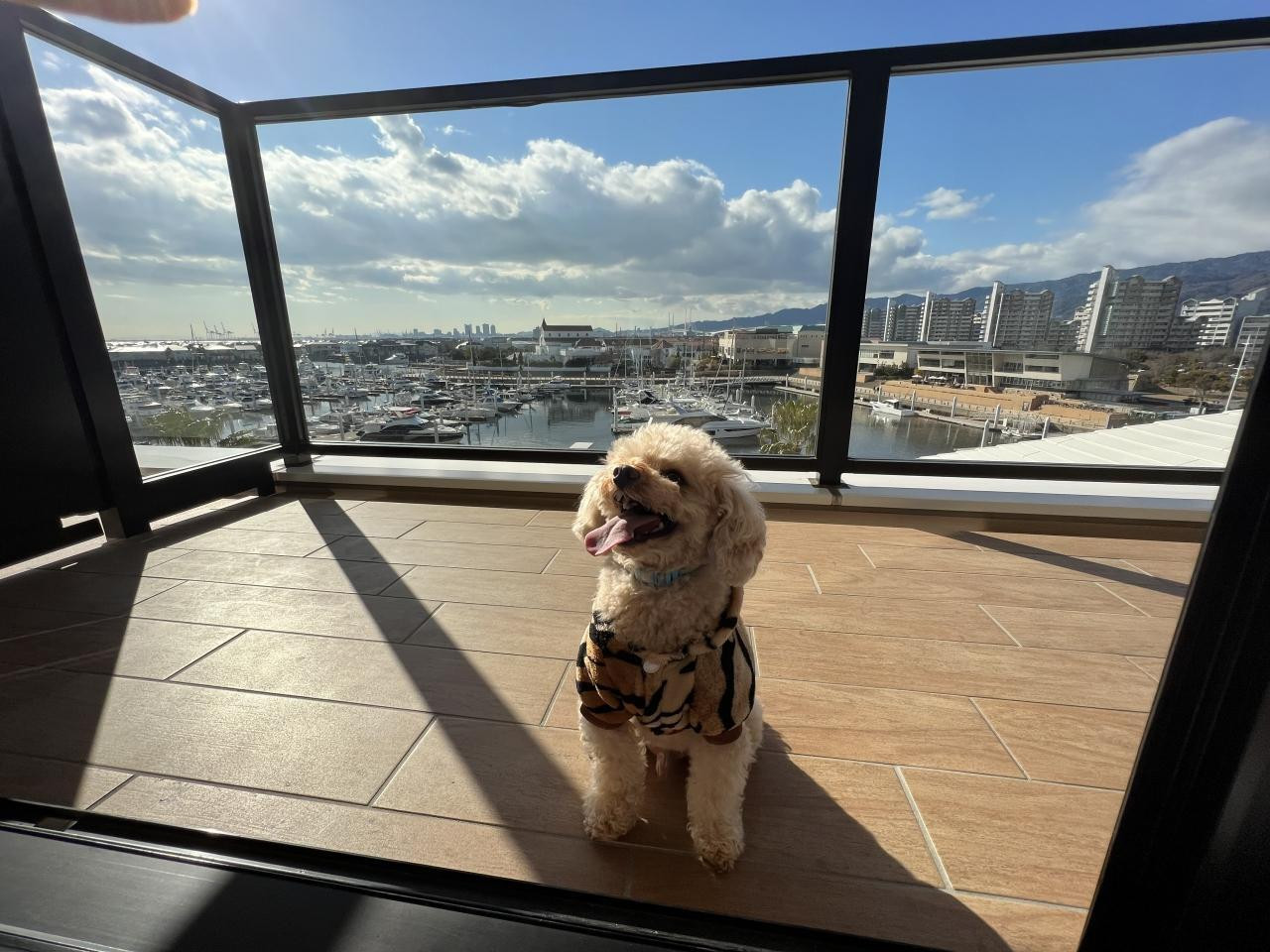 洗練された邸宅のような空間でリラックス3082423