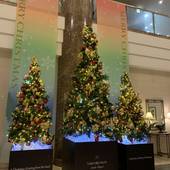 ホテル日航高知 旭ロイヤル（高知県 シティホテル） / 3