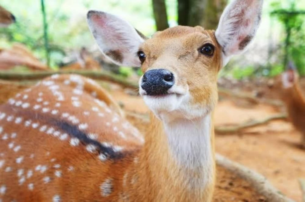 シティ ビュー