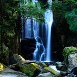 【日本の滝100選】大自然の中で見る絶景！関西編【奈良、和歌山】