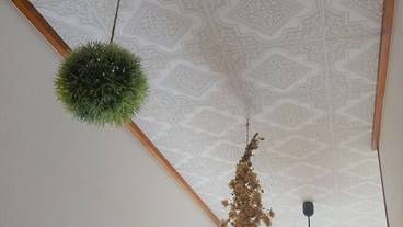 内装の詳細 / 11