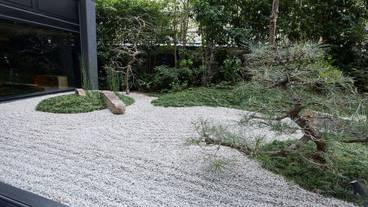 中庭 / 15