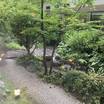 風情がありますね。はい