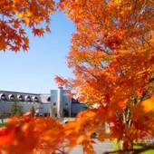 裏磐梯レイクリゾート(福島県 リゾートホテル) / 5