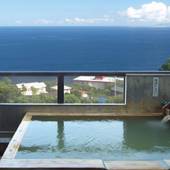 南熱海網代山温泉 竹林庵 みずの（静岡県 旅館） / 2