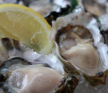 「Oyster Bar ジャックポット 汐留」 料理 58258872 