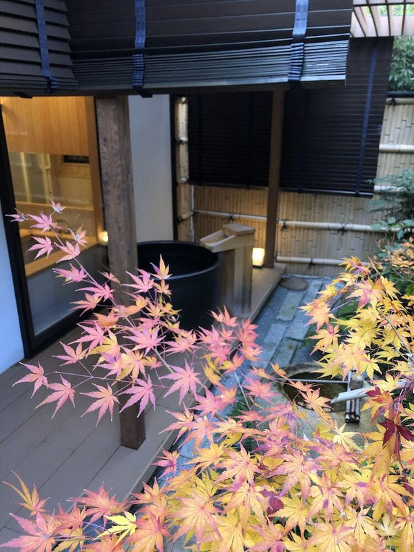 ガーデン ビュー