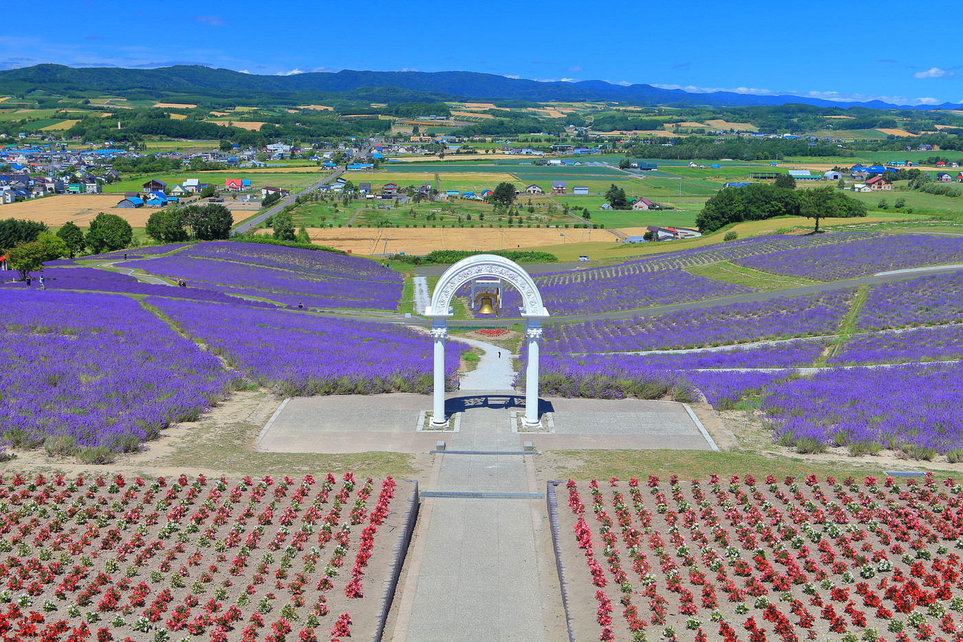【北海道】晴天下の日の出公園ラベンダー園