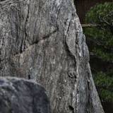 巨石を配した庭 / 1