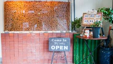 施設の入り口 / 10