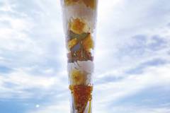 ジェットスイーツ