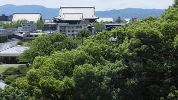 ガーデン ビュー / 25