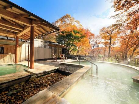 奥日光ホテル四季彩 / 1