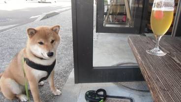 ペット同伴可 / 4